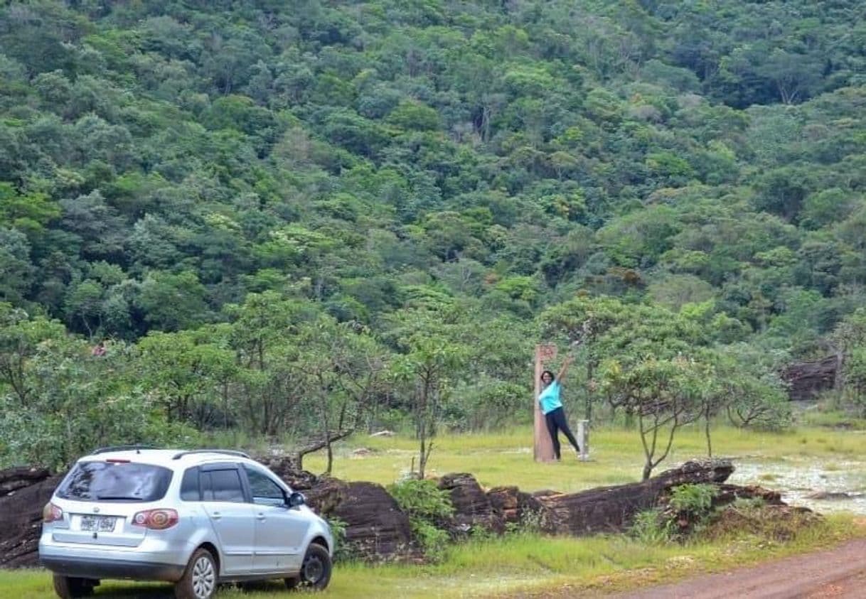 Fashion O que pode dar errado em uma viagem de carro?