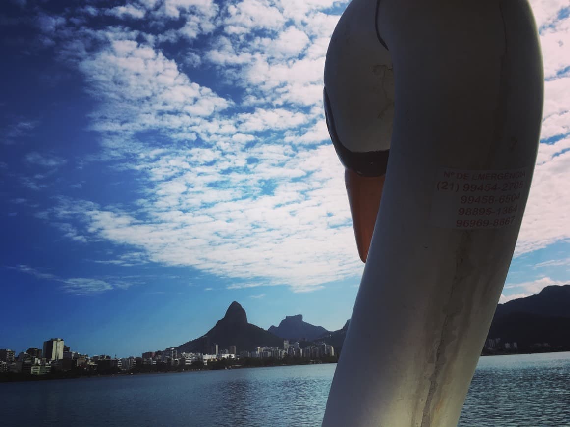 Place 4 razões para passar a tarde na Lagoa Rodrigo de Freitas