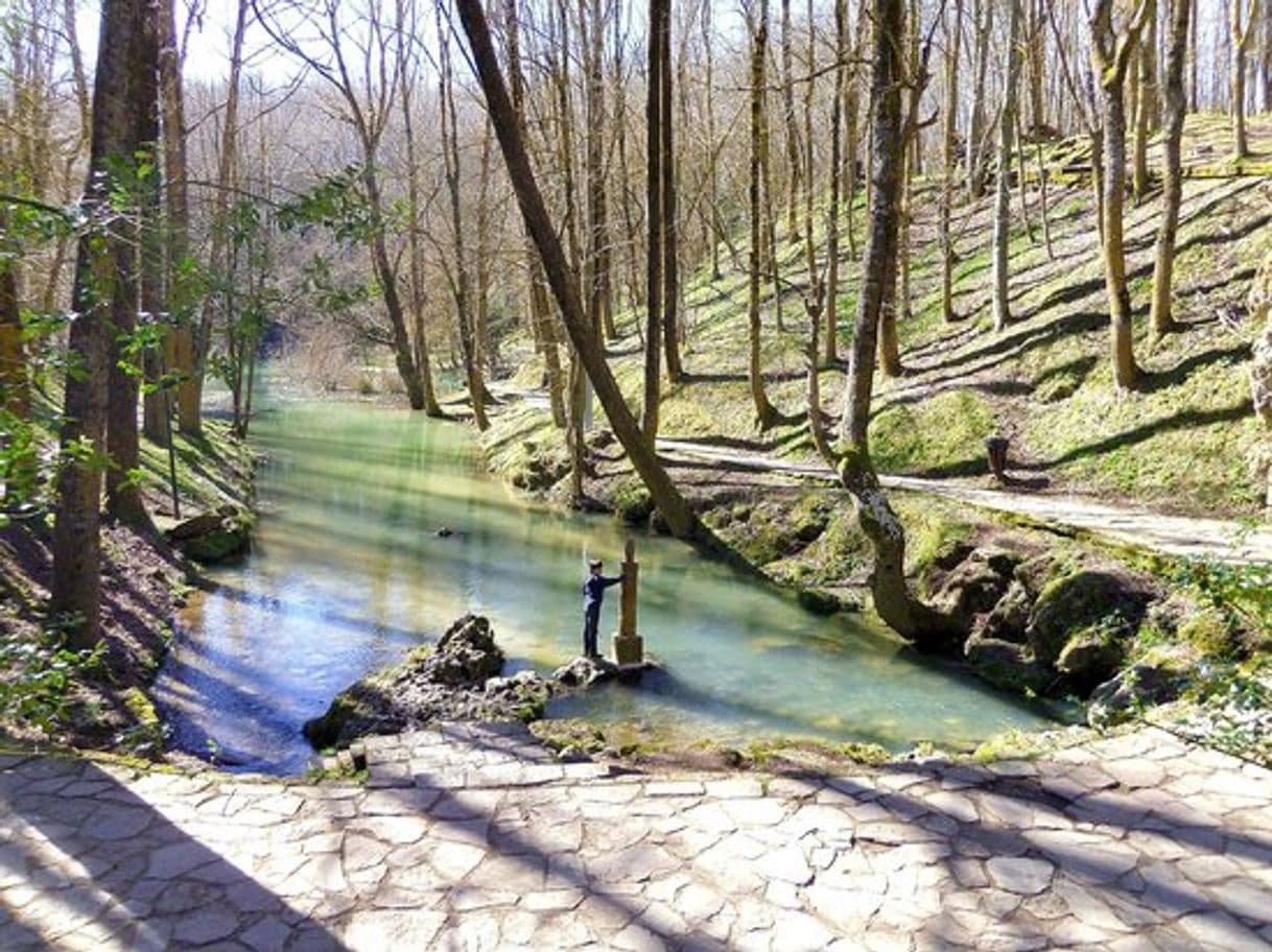 Lugar Nacimiento del Río Ebro