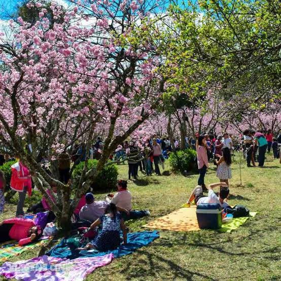 Place Parque do Carmo