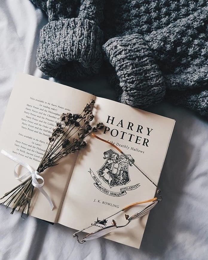 Book Harry Potter y la Piedra Filosofal: 1