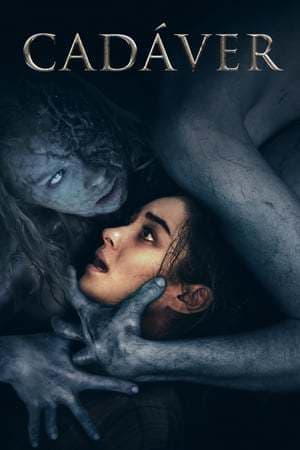 Película The Possession of Hannah Grace