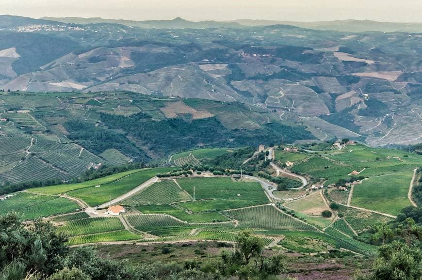 Lugar Ermida de São Domingos de Provesende