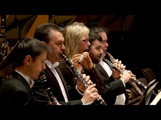 Music W. A. Mozart: Symphony nº 40 - Dima Slobodeniouk - YouTube