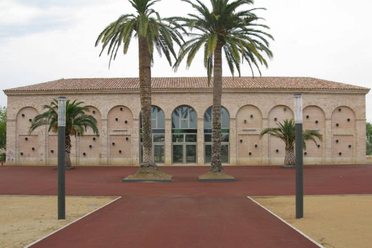 Moda Museu de la Mar de l'Ebre | Ebre, Natura & Cultura