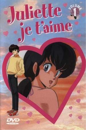 Serie Maison Ikkoku