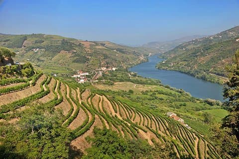 Lugar Douro