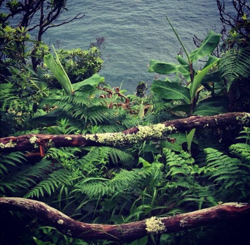 Lugar Ilha de São Jorge