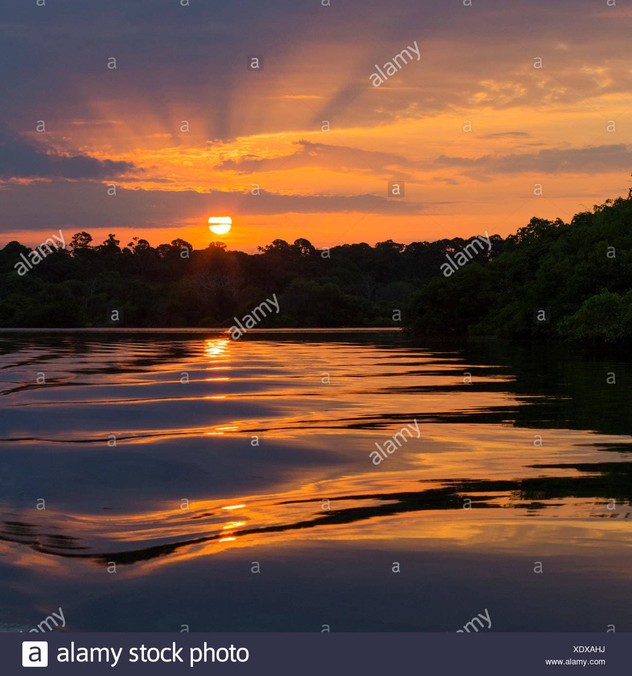 Lugar Amazonia