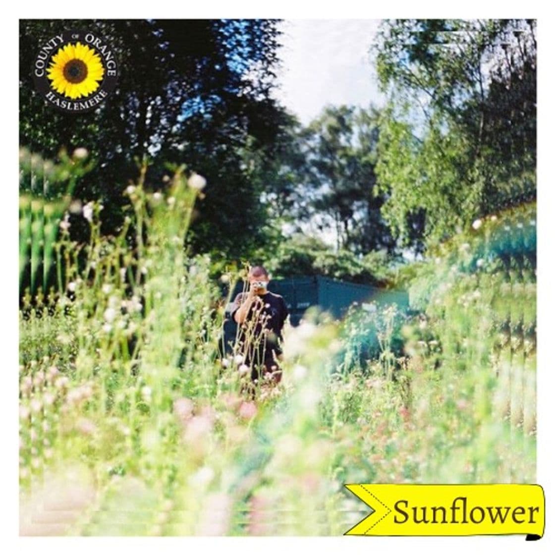 Canción Sunflower