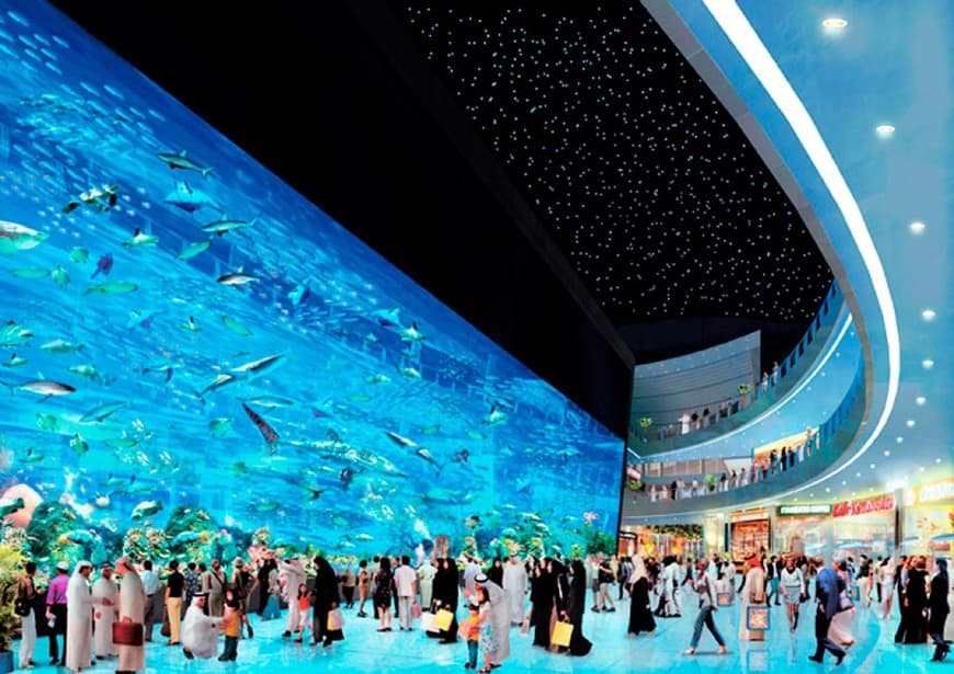 Lugar Dubai Aquarium & Underwater Zoo