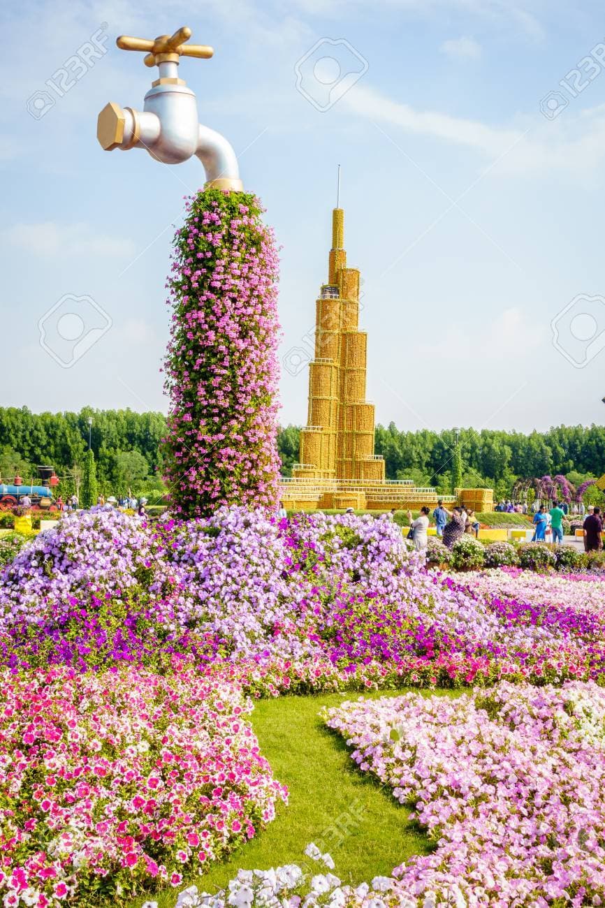 Lugar Miracle Garden