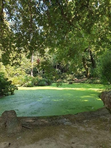 Lugar Quinta da Aveleda