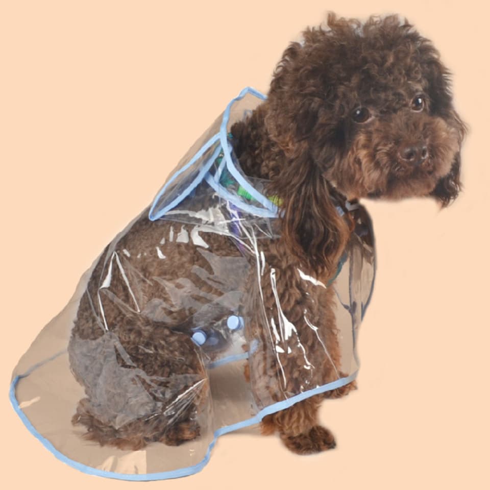 Fashion Pet Dog Transparent Rain Coat Clothes EVC Puppy Cat Dog