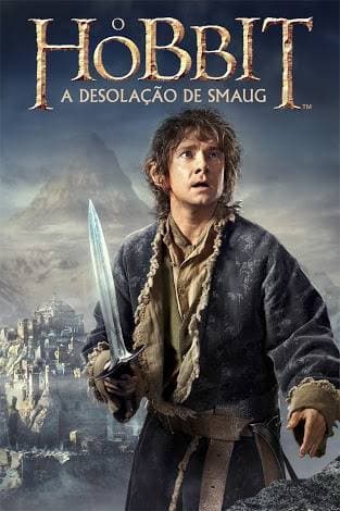 Película O Hobbit: A desolação De Smaug 