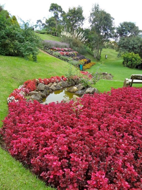 Place Parque do Amantikir