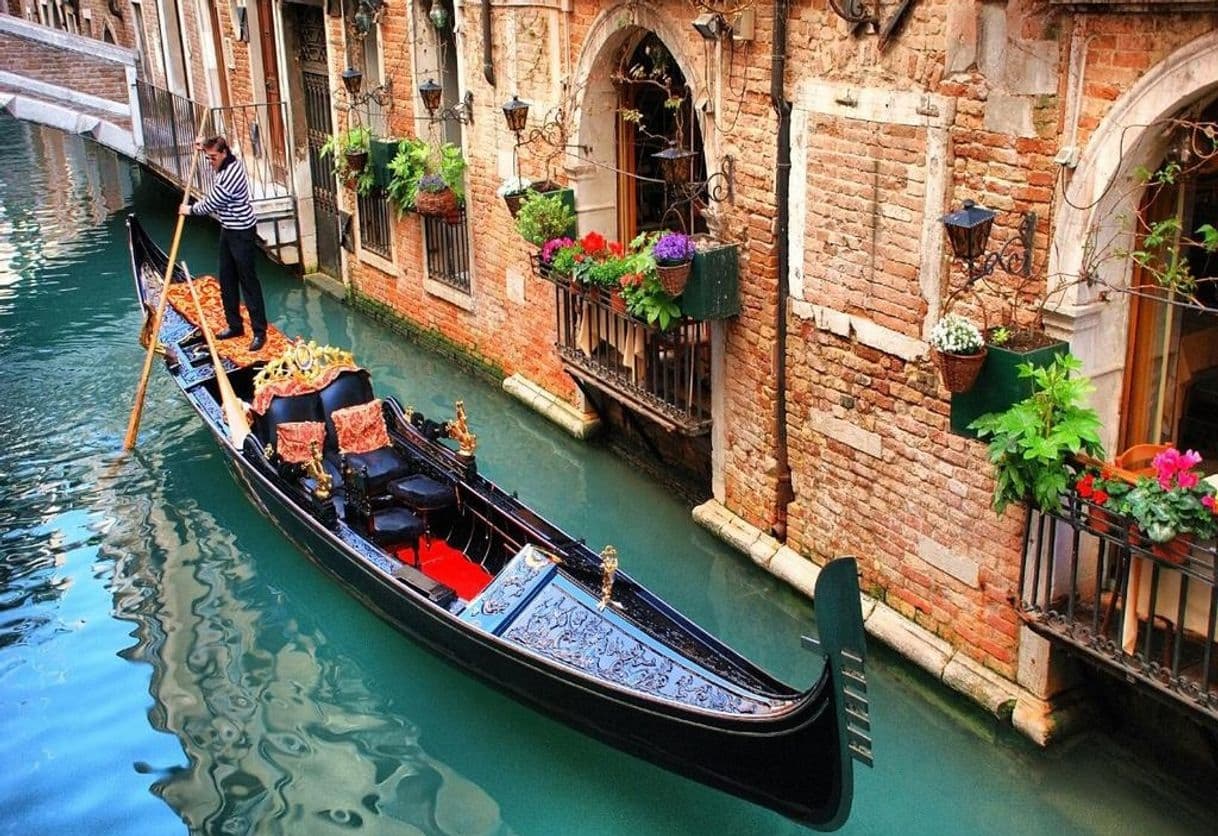 Place Venecia