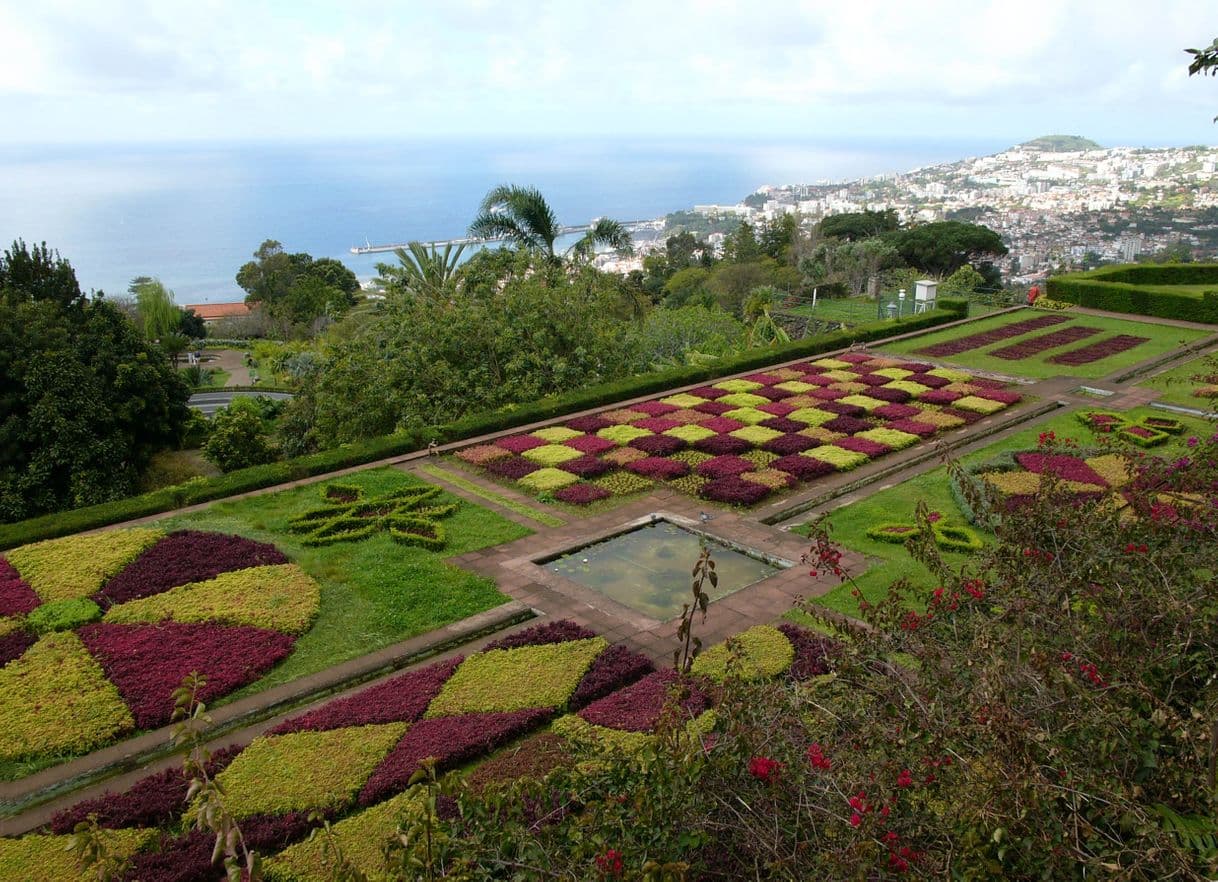 Place Jardín Botánico de Madeira