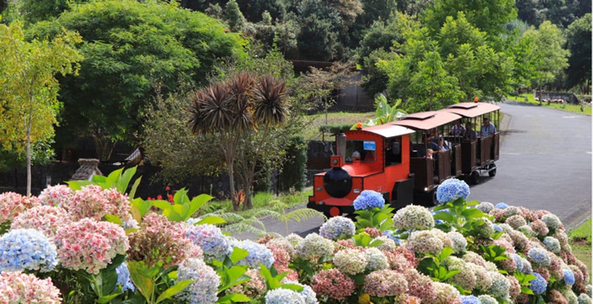 Place Parque Temático