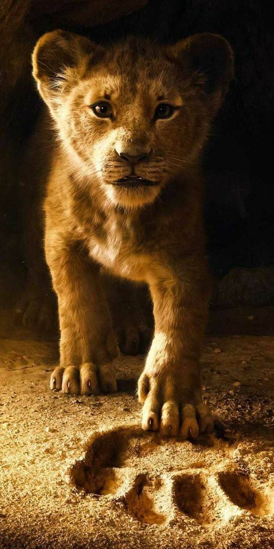 Movie The Lion King