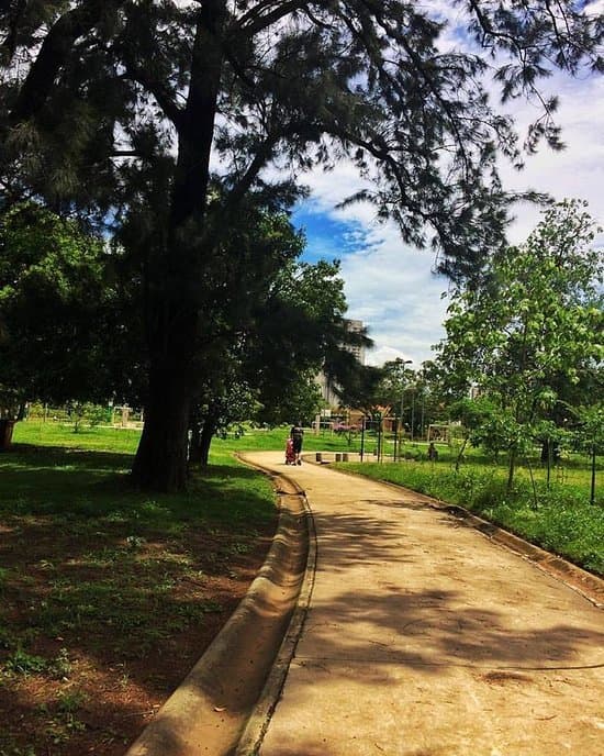 Lugar Parque Estadual do Belém