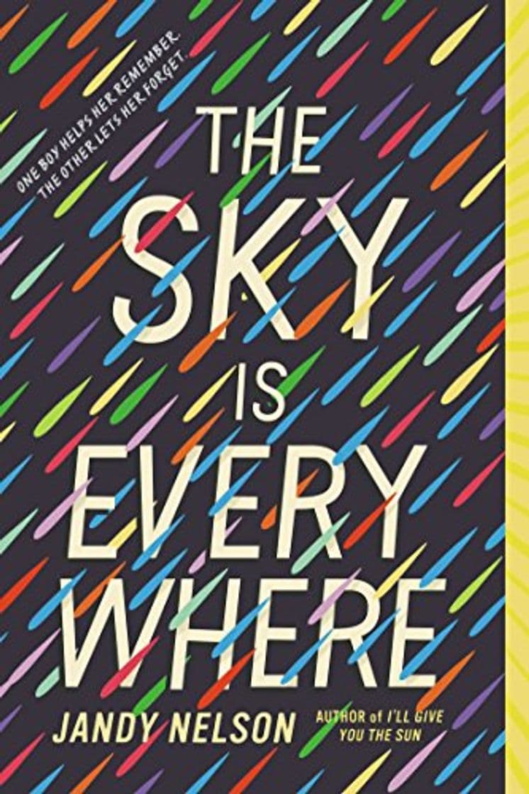 Libro The Sky Is Everywhere