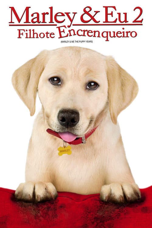 Película Marley & Me: The Puppy Years