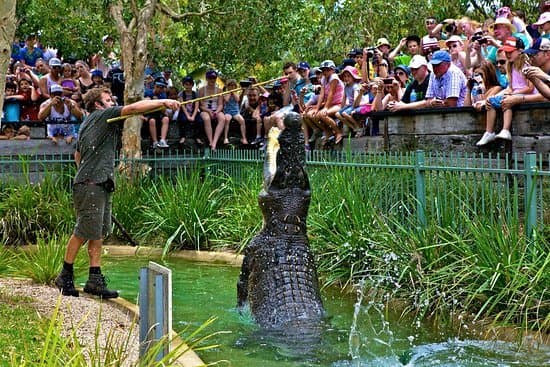 Lugar Australian Reptile Park