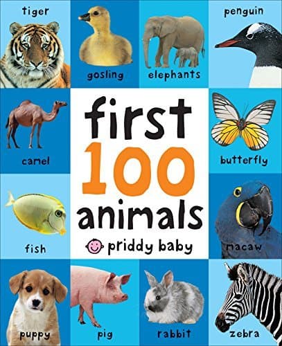 Libro 1ST 100 ANIMALS-BOARD