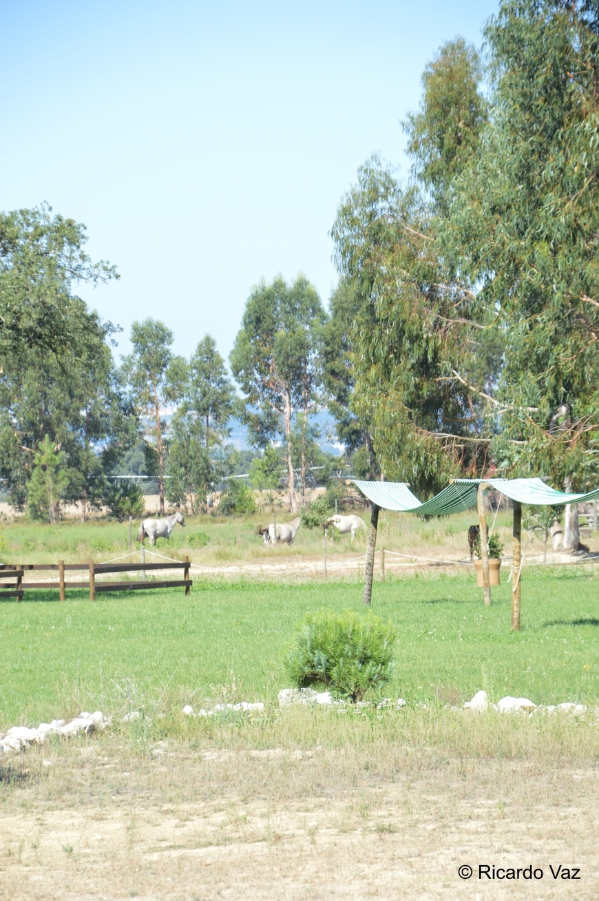 Moda Herdade Do Cavalo Do Sorraia, Alpiarça