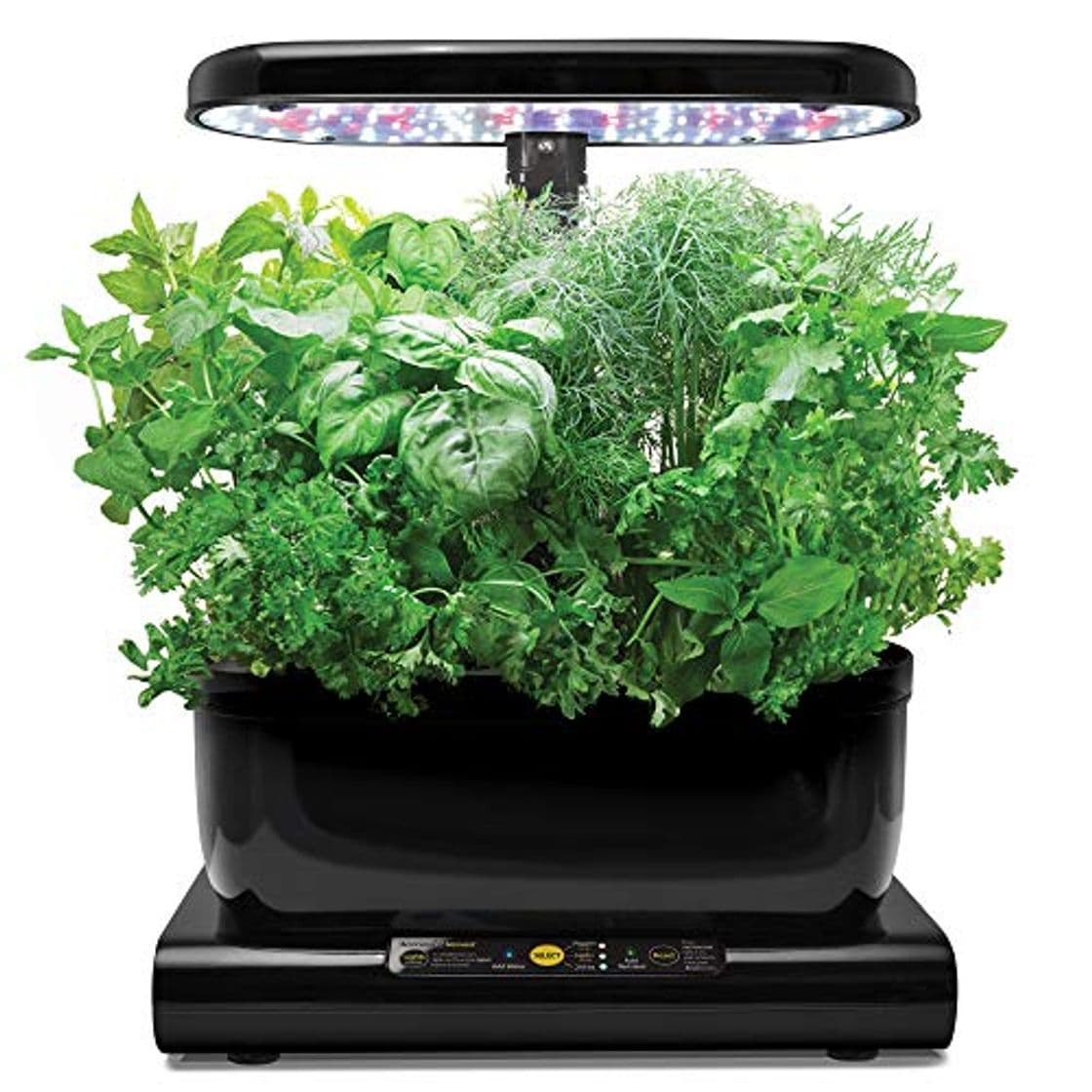 Product AeroGarden Harvest - Kit de cultivo interior smart garden