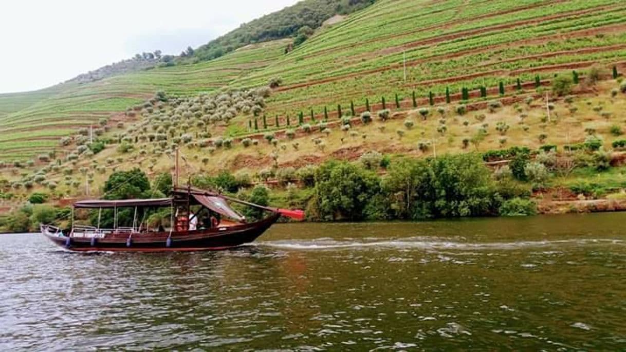 Lugar Cruzeiros no Douro