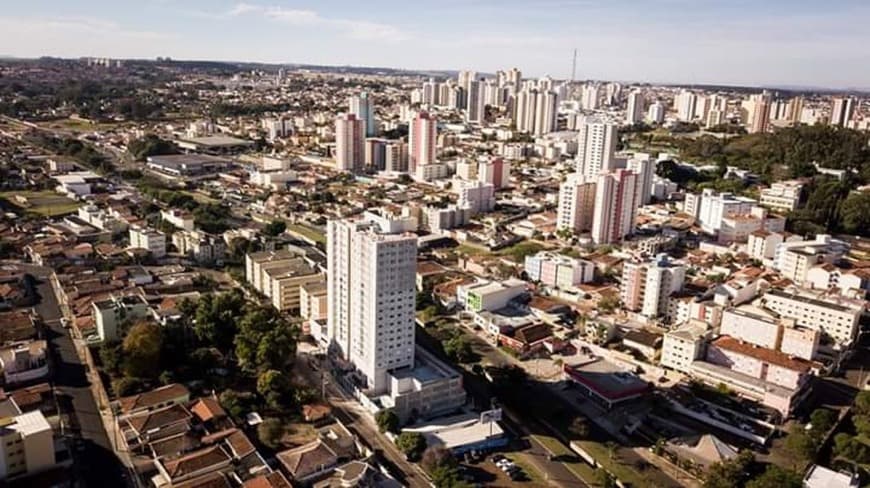 Lugar Parque Ecológico de São Carlos Dr. Antônio Teixeira Vianna