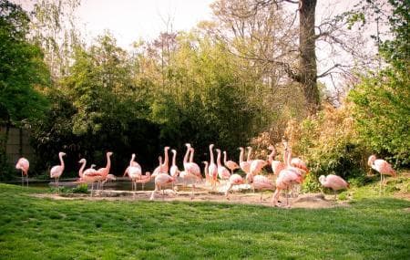 Lugar Zoo Frankfurt