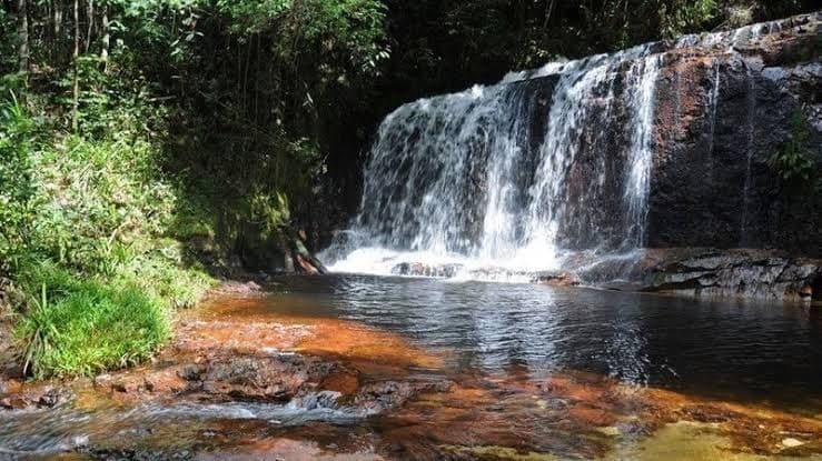 Lugar Parque Nacional da Serra do Divisor 