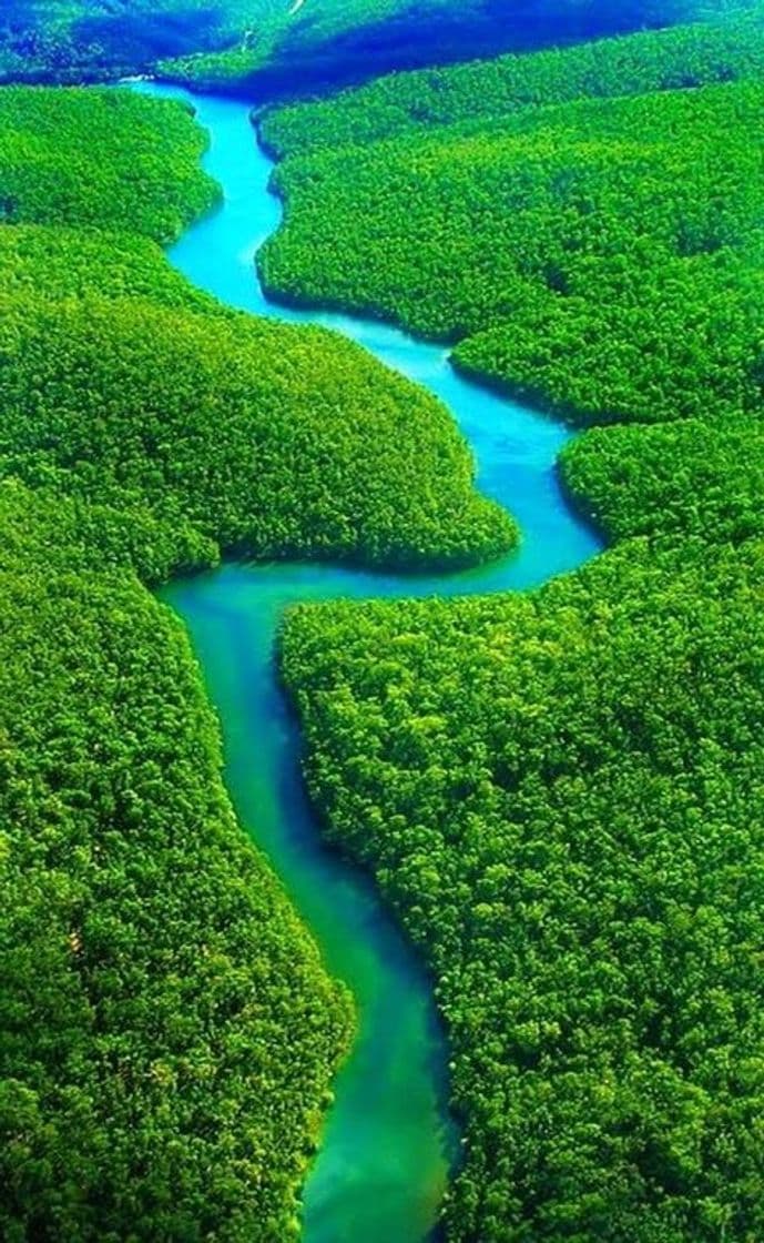 Place Amazonia