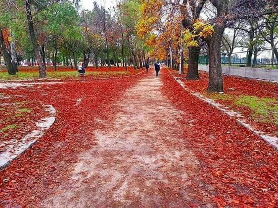 Lugar Parque Domínico