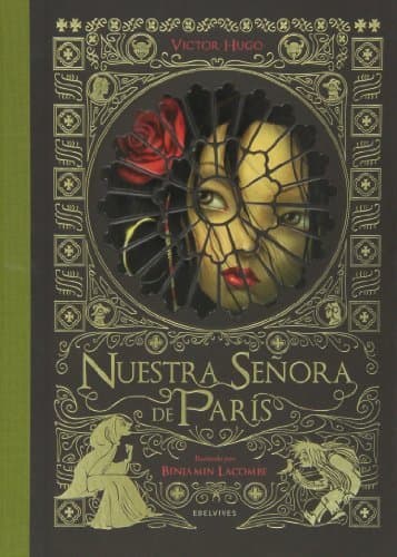 Book Nuestra Señora de París (Álbumes (Jóvenes y niños) 