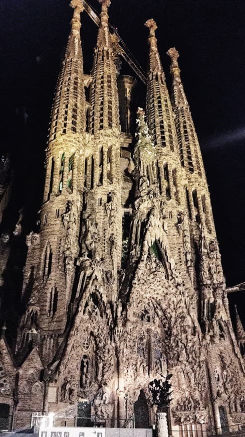 Place Basílica Sagrada Familia