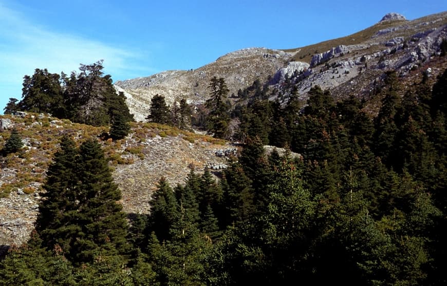 Lugar Sierra de las Nieves