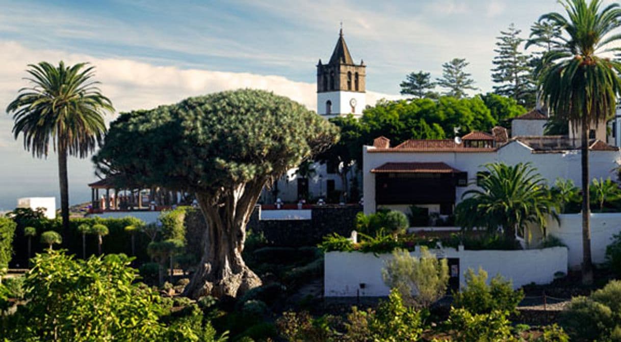 Lugar Icod de los Vinos