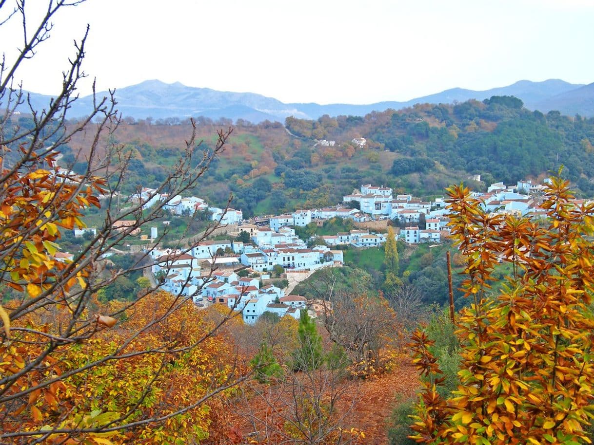 Lugar Valle del Genal