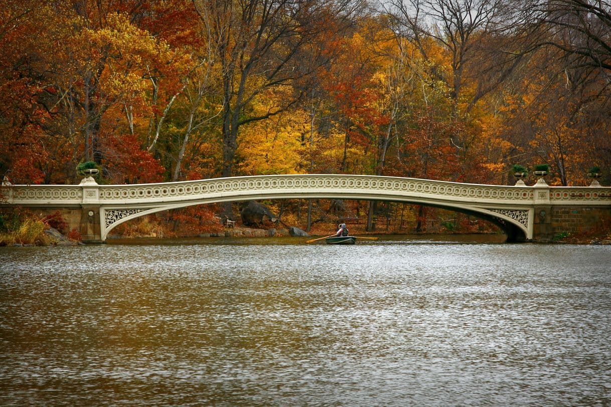 Place Bow Bridge