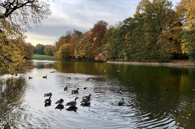 Lugar Bois de la Cambre