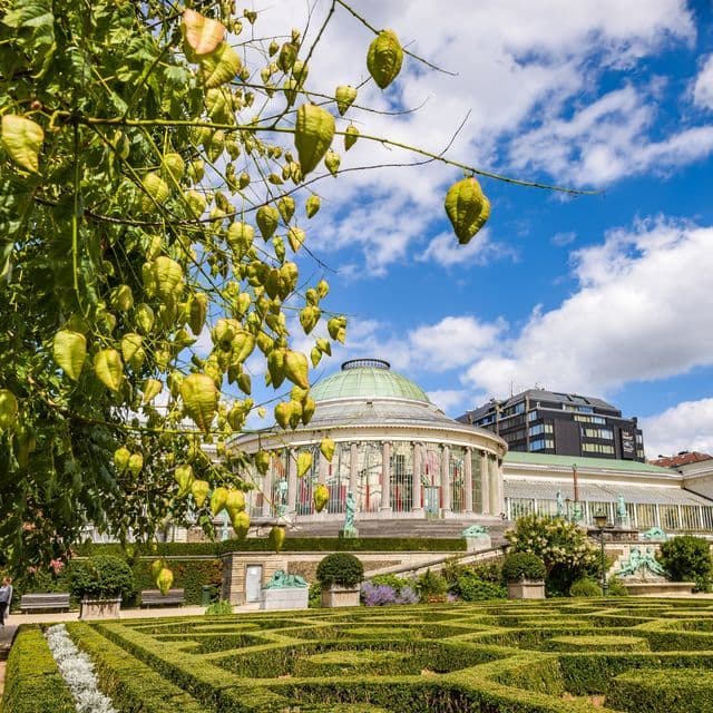 Place Jardín Botánico de Bruselas