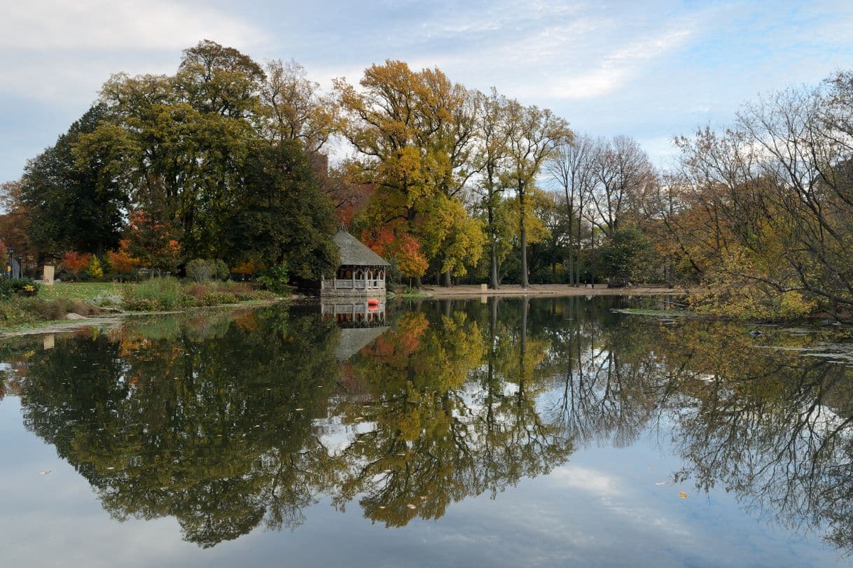 Place Prospect Park