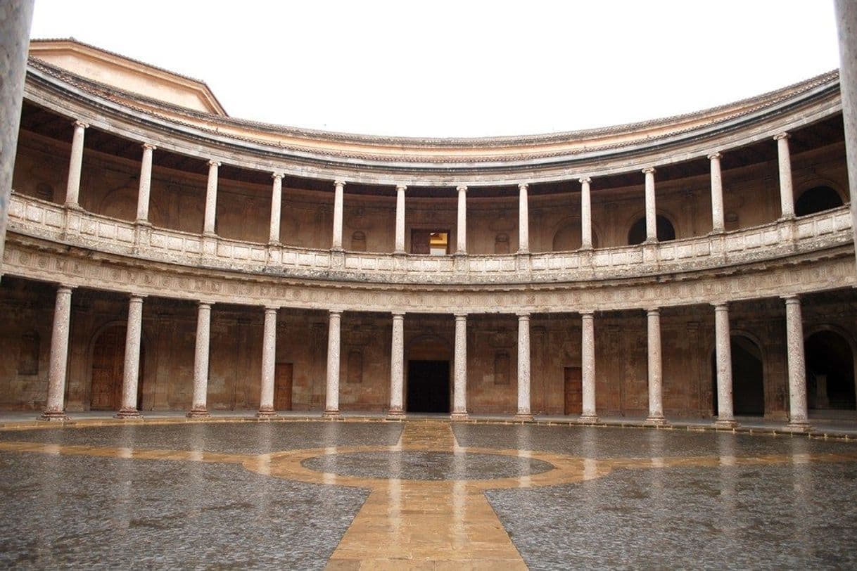 Place Palacio de Carlos V