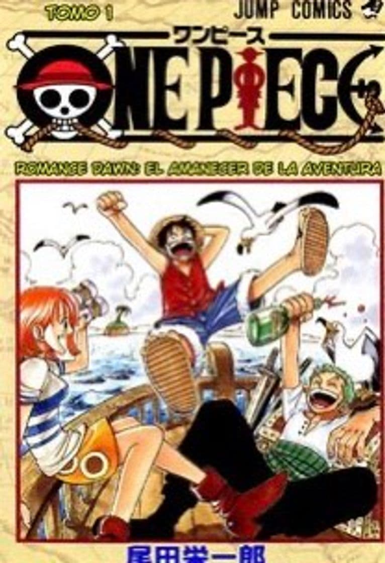 Book ONE PIECE (FULL COLOR)