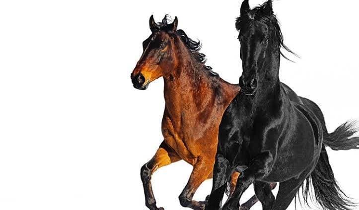 Canción Old Town Road (feat. Billy Ray Cyrus) - Remix