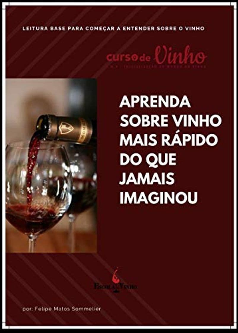 Product APRENDA SOBRE VINHO MAIS RÁPIDO QUE JAMAIS IMAGINOU!: LEITURA BASE PARA COMEÇAR